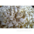 pure fresh normal white garlic